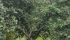 WhatsApp Image 2025-02-10 at 10.33.03.jpeg